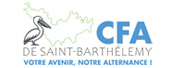 Logo CFASBH petit format 2026