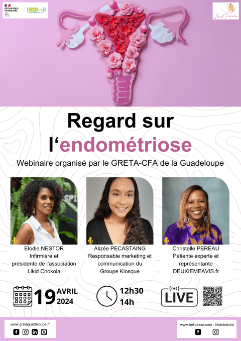 Affiche Regard sur l'endométriose