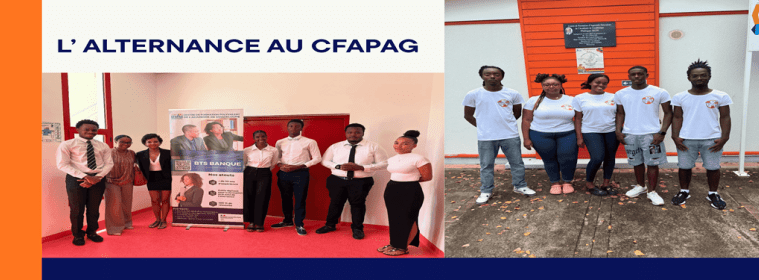 Diapo1c alternance